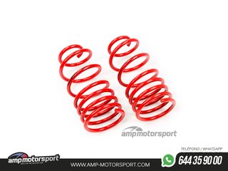 MUELLES DEPORTIVOS MTS TECHNIK MTSXPE109