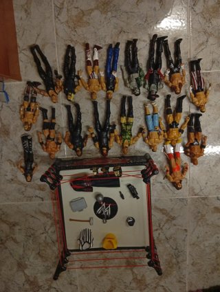 Set de Ring de Lucha Libre y Figuras