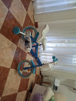Bicicleta de niña de 14 pulgadas de Frozen