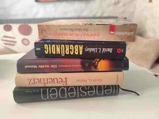 Lote 5 Libros Alemán - Hardcover & Taschenbuch