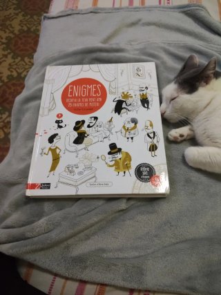 Enigmes: desafia la teva ment con 25 històries ...