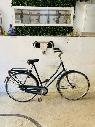 Bicicleta ciudad Batavus Torino