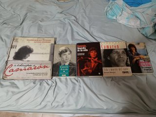 Libros de Camarón.