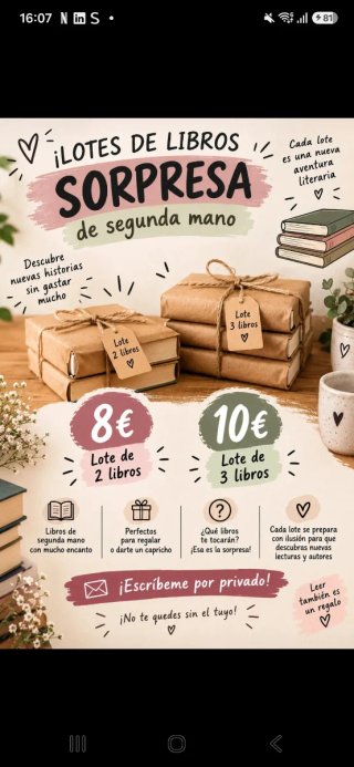 Lote de libros sorpresas