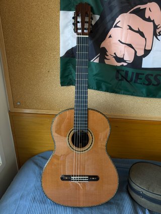 Guitarra Antonio de Toledo AAT-15C con estuche