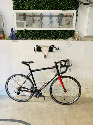 Bicicleta Gravel Orbea Avant Aluminio