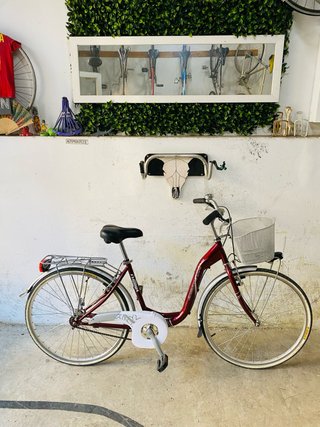 Bicicleta ciudad Zephyr Florida