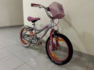Bicicleta de Niña de 16”