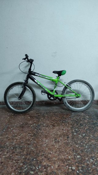Bicicleta Infantil 20 Pulgadas Verde y Negra