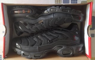 Zapatillas Nike Air Max Plus Negras