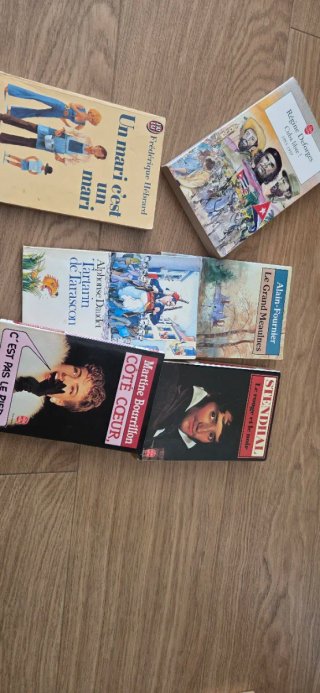 Lote  5 libros en frances