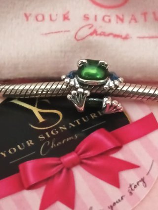 Charm Rana Your Signature plata