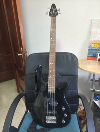 Bajo Eléctrico y Amplificador
