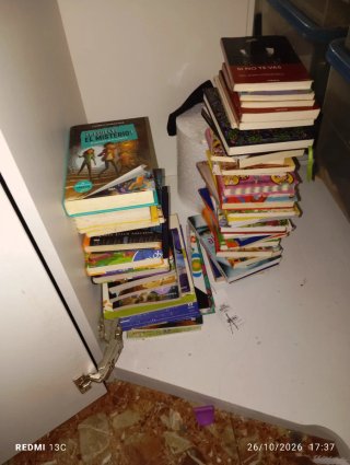 Libros infantiles y juveniles