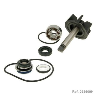 Bomba de agua Suzuki Burgman UH 125 AN 250 400