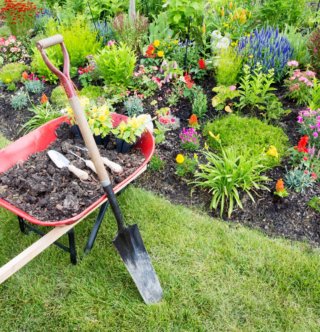 Podas y jardines