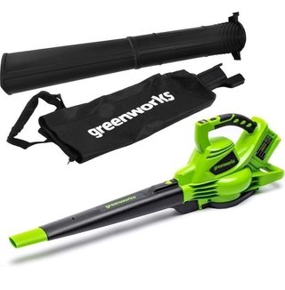 Soplador Greenworks 2x24V