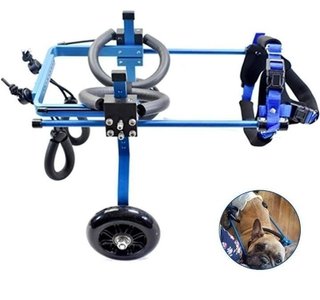 Carrello di addestramento per cani