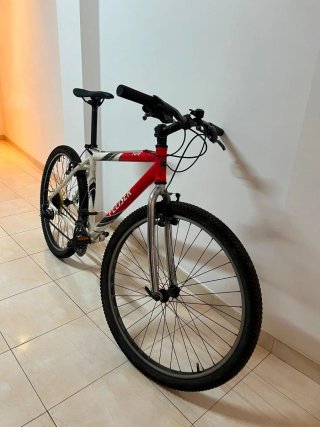 Bicicleta Peliser de Montaña
