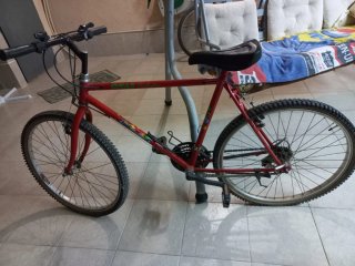Bicicleta de Montaña Roja
