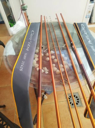 2 Cañas de Pesca Daiwa Cast'izm Surf