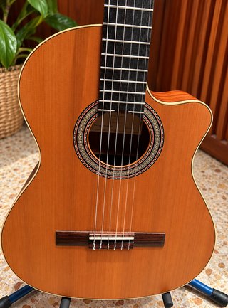 Guitarra Alhambra Nature CW EX con Funda