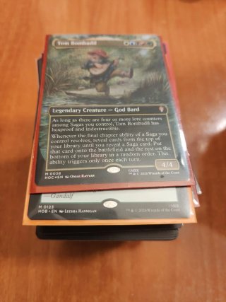 Lote de 248 cartas Magic: The Gatherin