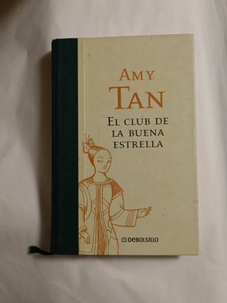 El Club de la Buena Estrella Tan, Amy