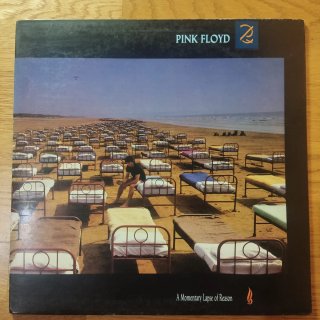 Vinilo Pink Floyd - A Momentary Lapse of Reason