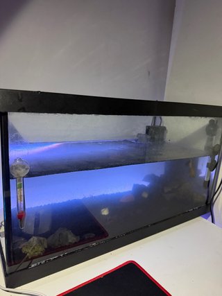 Acuario 45L con Filtro y Calentador URGENTE!!