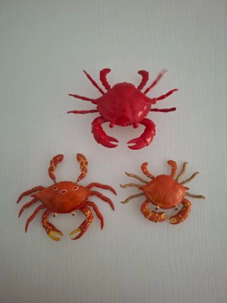 Set de 3 Imanes de Cangrejos