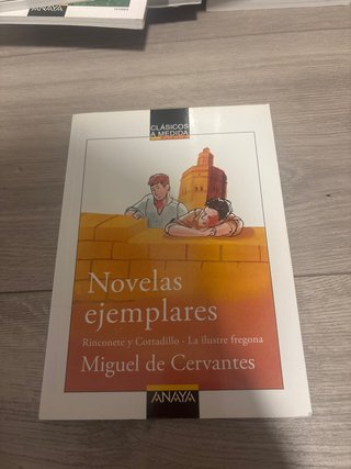 Novelas ejemplares