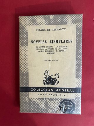 Novelas Ejemplares libro