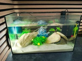 Acuario Marino con Decoración con stump y mueble