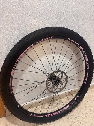 Rueda Delantera MTB con Llanta de Aluminio