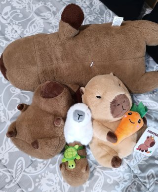 5 Peluches Capibaras
