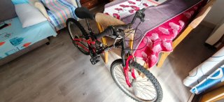 Bicicleta de Montaña con Doble Suspensión