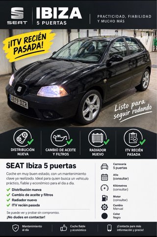 SEAT Ibiza 6 L