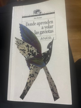 Donde aprenden a volar las gaviotas