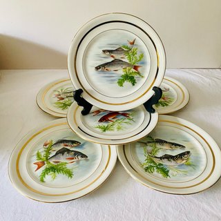 Set de 6 Platos Limoges Haviland Peces-23 cm