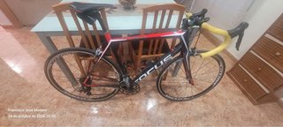 Bicicleta de Carretera Focus Cayo