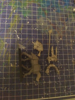 Warhammer fantasy portaestandarte dragoneros