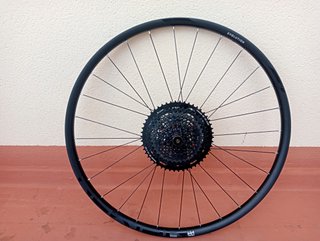 29 x30 llanta trasera nueva ebike enduro Newmen