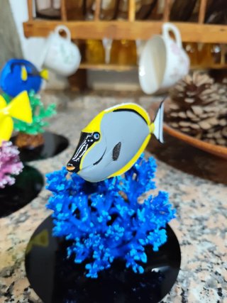 Decoración Acuario Marino Naso elegants