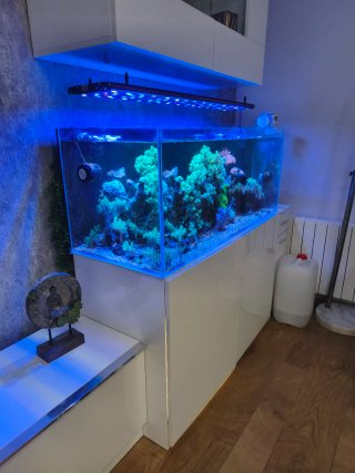 Acuario marino 300 litros 120 x50x50