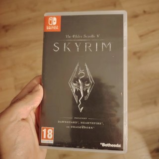 The Elder Scrolls V: Skyrim (Nintendo Switch)