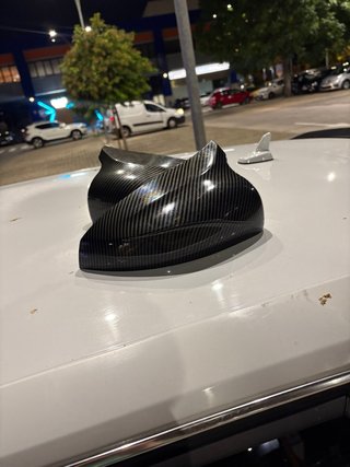 Tapas de Retrovisor Audi A3 8V Carbono