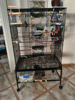 Jaula para pájaros grande