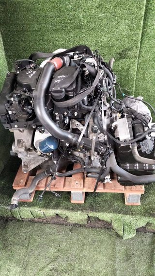 MOTOR COMPLETO Nissan Qashqai (J10)(01.2007->)