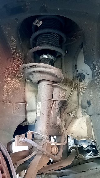 AMORTIGUADOR DELANTERO IZQUIERDO Seat Leon (5F1)